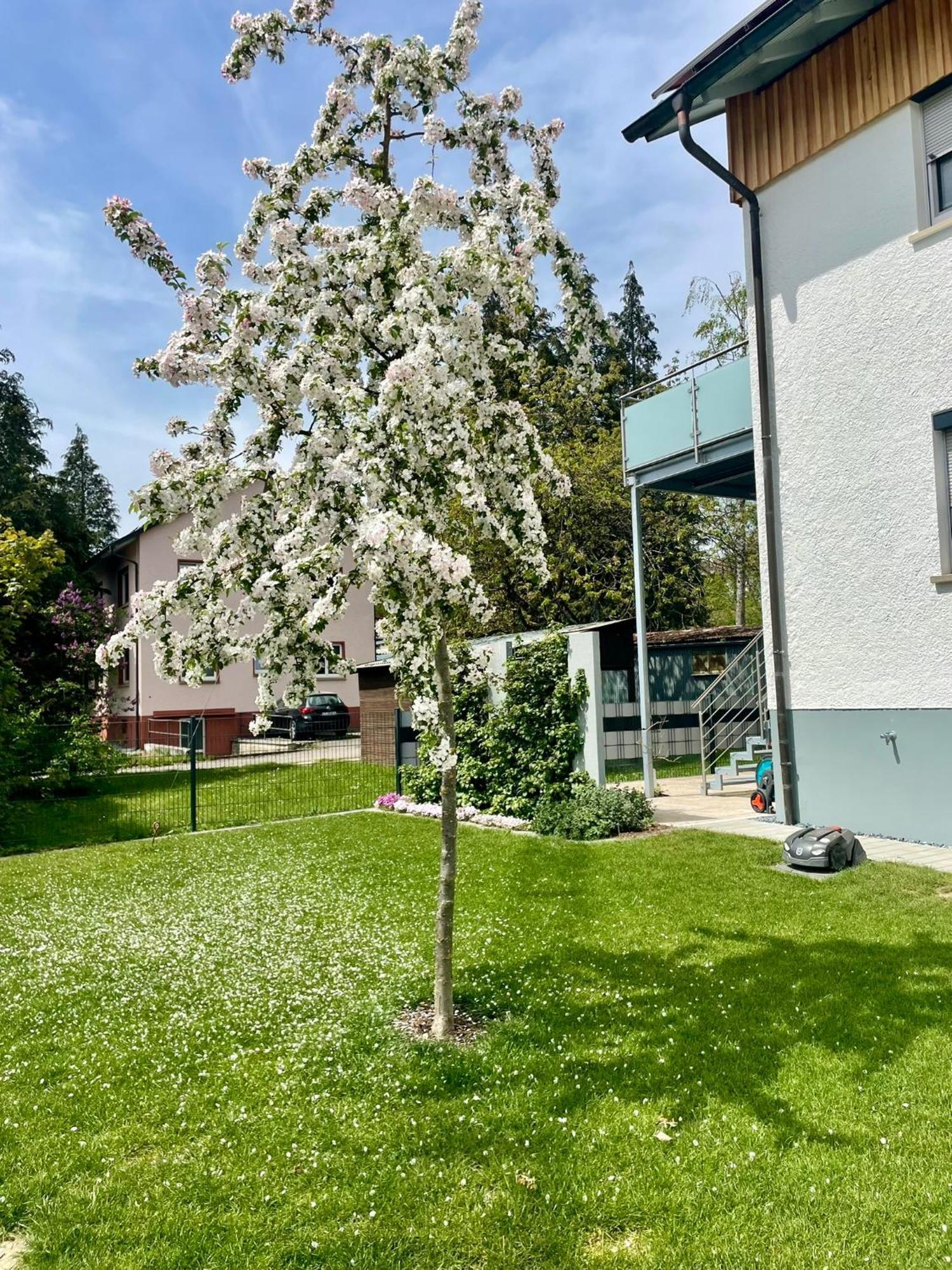 Anitas Ferienwohnung Messkirch Zewnętrze zdjęcie